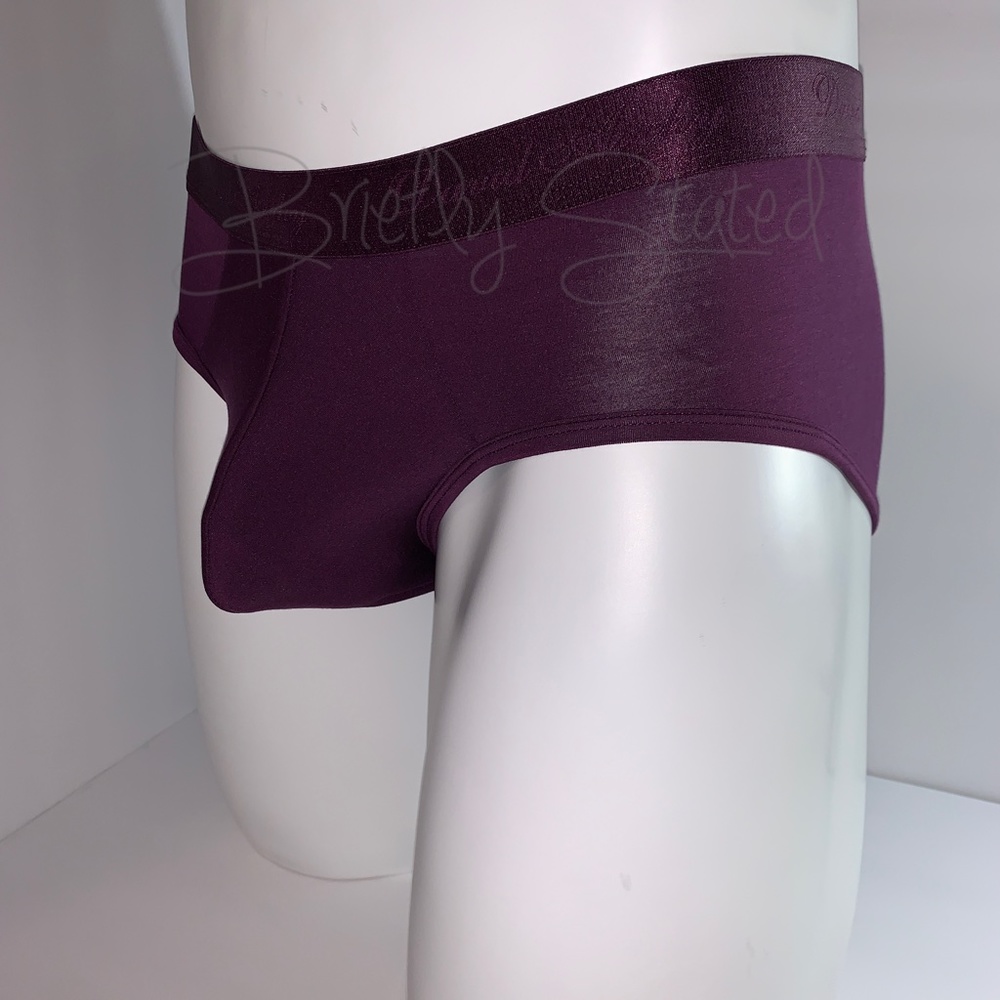 David Archy Micro Modal Briefs - Wine